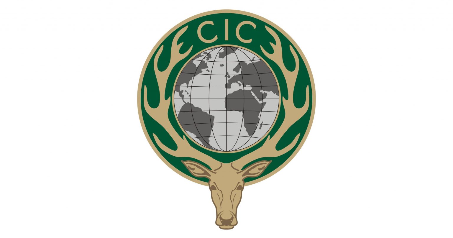 Call for Applications: Internship (CIC Administrative Office) - CIC ...